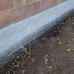 Wall Restoration