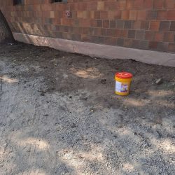 Wall Restoration