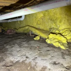 Dirty Crawl Space