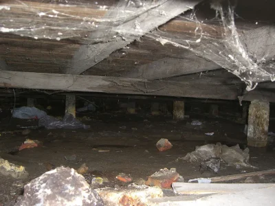 crawl space odor