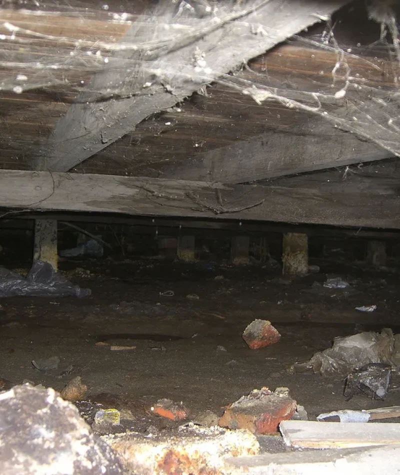 crawl space odor
