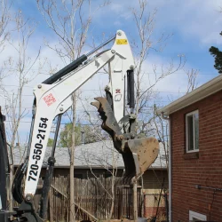 Excavator (Crop guy out on right)