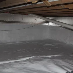 Vapor Barrier (1)